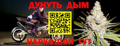 дмт Будённовск