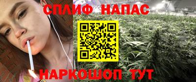 дмт Будённовск