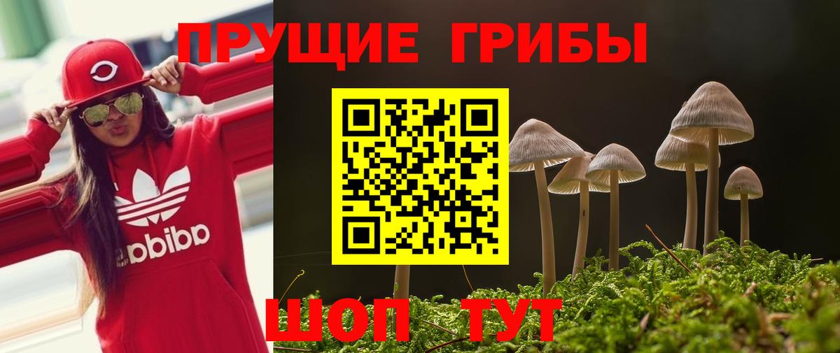 Чехов  купить наркоту  Вход с VPN  Псилоцибиновые грибы мухоморы  Галлюциногенные грибы Magic Shrooms 